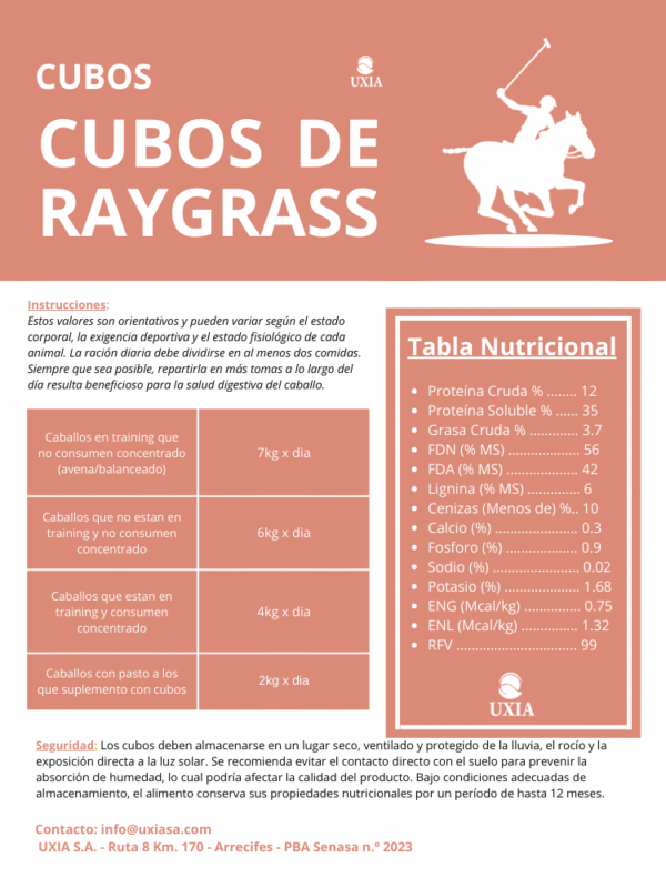 Cubos de Raygrass - Image 2